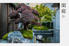 成为“金色花环”